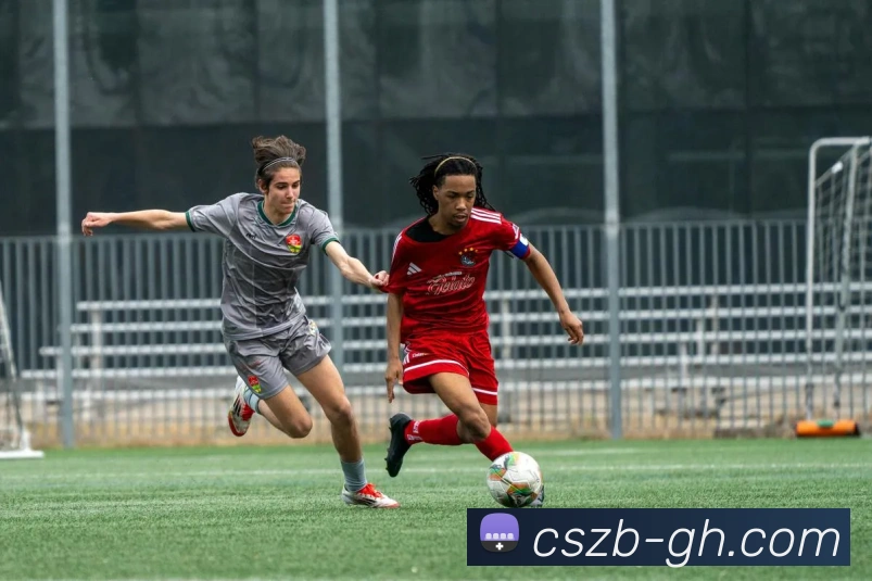 App Interface Preview